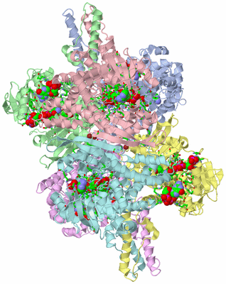 Image Asym./Biol. Unit - sites