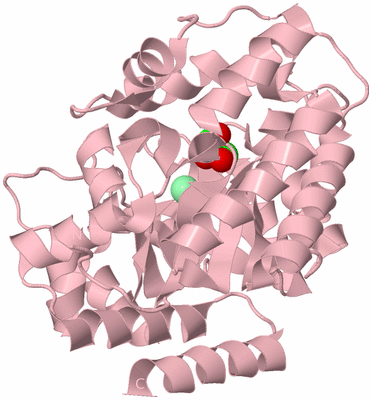 Image Biological Unit 2