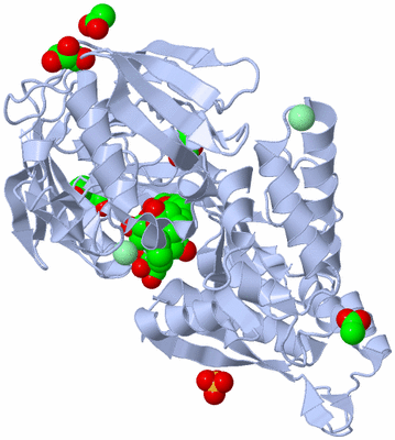 Image Biological Unit 1