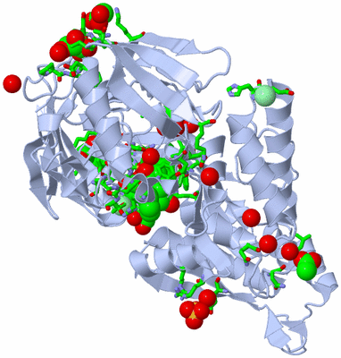 Image Biol. Unit 1 - sites