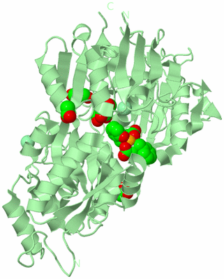 Image Biological Unit 2