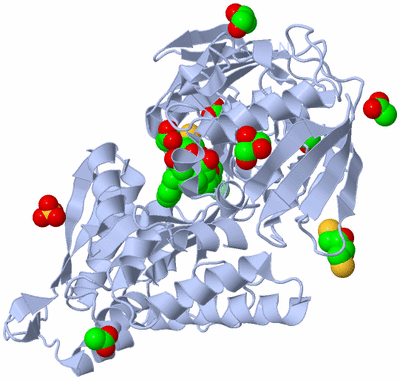 Image Biological Unit 1