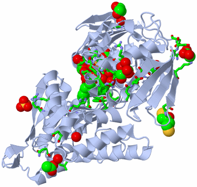 Image Biol. Unit 1 - sites