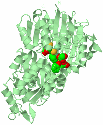 Image Biological Unit 2