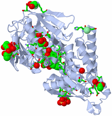 Image Biol. Unit 1 - sites