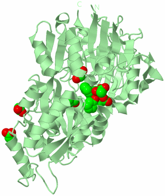 Image Biological Unit 2