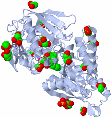 Image Biological Unit 1