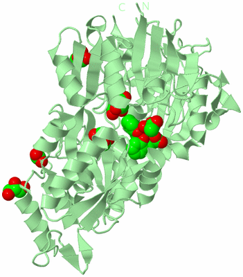 Image Biological Unit 2