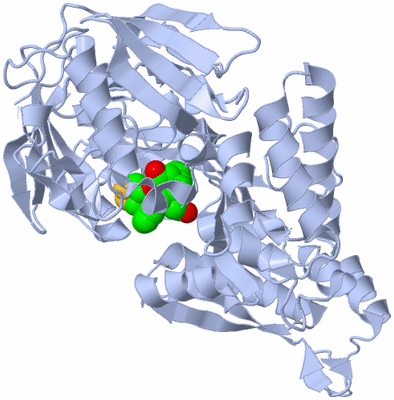 Image Biological Unit 1