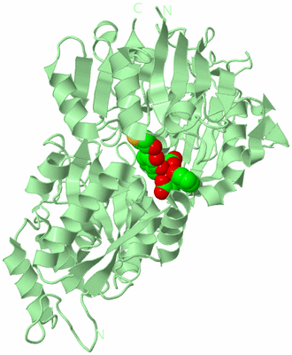 Image Biological Unit 2