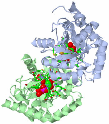 Image Asym./Biol. Unit - sites