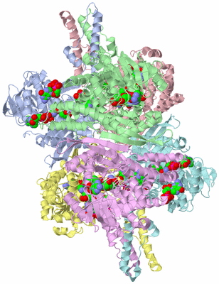 Image Asym./Biol. Unit