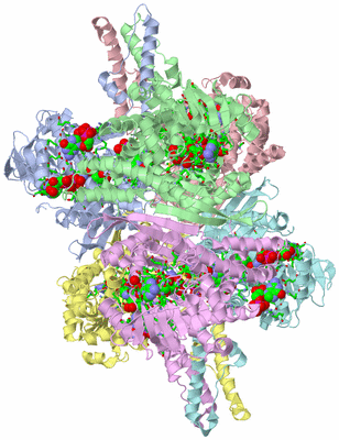 Image Asym./Biol. Unit - sites