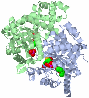 Image Asym./Biol. Unit