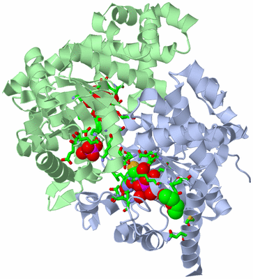 Image Asym./Biol. Unit - sites