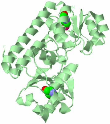 Image Biological Unit 2