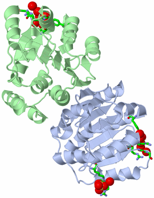 Image Asym./Biol. Unit - sites