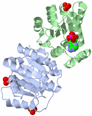 Image Asym./Biol. Unit