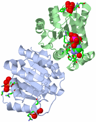 Image Asym./Biol. Unit - sites