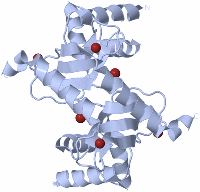 Image Biological Unit 1