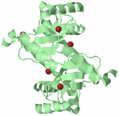 Image Biological Unit 2