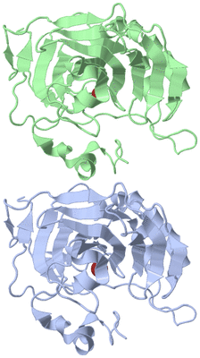 Image Asymmetric Unit