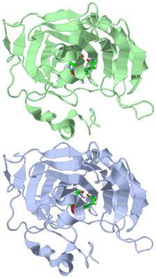 Image Asym. Unit - sites