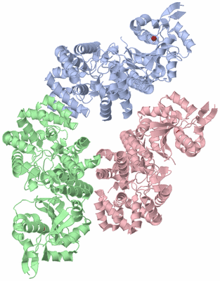 Image Biological Unit 1