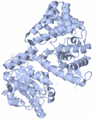 Image Biological Unit 2