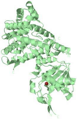 Image Biological Unit 3