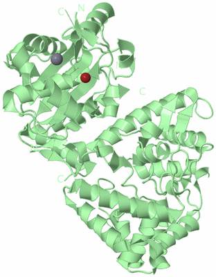 Image Biological Unit 3