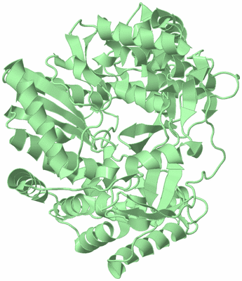 Image Biological Unit 2