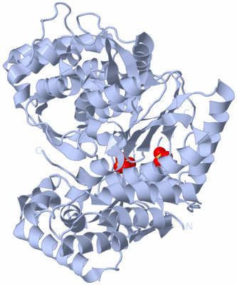 Image Biological Unit 1