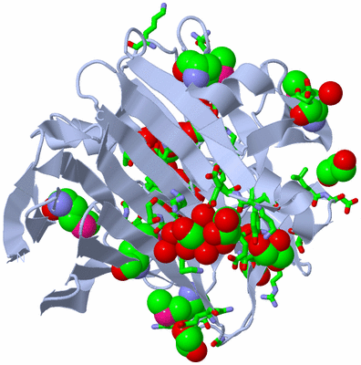 Image Biol. Unit 1 - sites