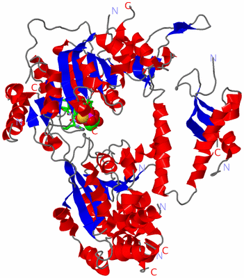 Image Asym. Unit - sites