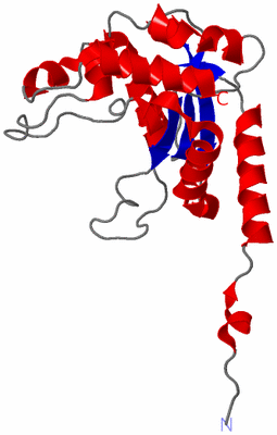 Image Asymmetric Unit