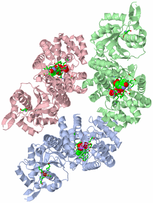 Image Biol. Unit 1 - sites