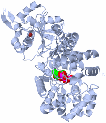 Image Biological Unit 2