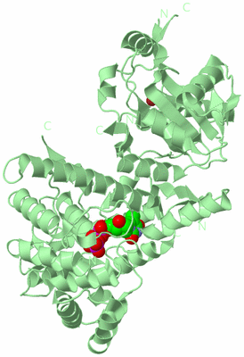 Image Biological Unit 3