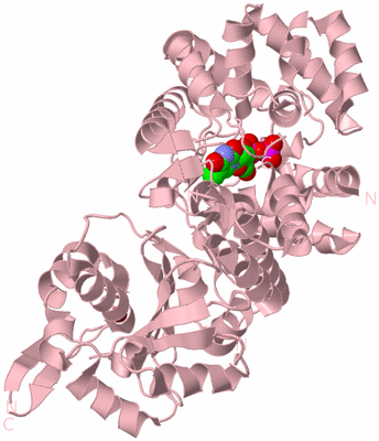 Image Biological Unit 4