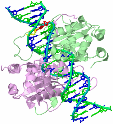 Image Biological Unit 2