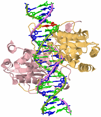 Image Biological Unit 3