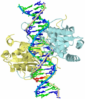 Image Biological Unit 4