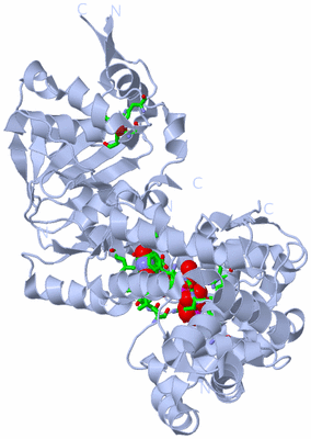 Image Biol. Unit 1 - sites