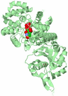 Image Biological Unit 2