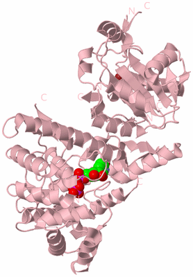 Image Biological Unit 3