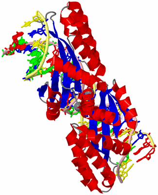 Image Asym./Biol. Unit