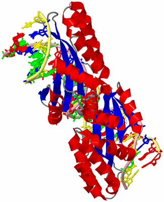 Image Asym./Biol. Unit - sites