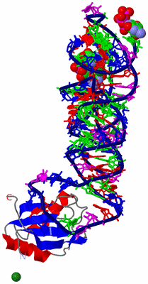 Image Asym./Biol. Unit