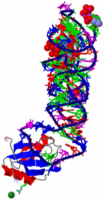 Image Asym./Biol. Unit - sites